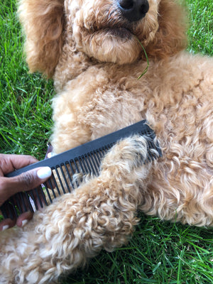 The Chicago Pet Comb